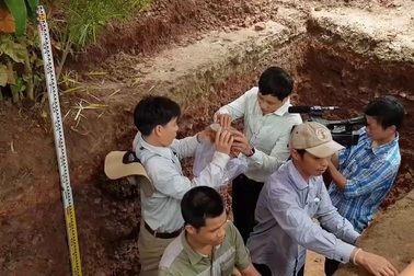 Đất thành hố khảo cổ bỗng đổ sập sau khi lấy chiếc dĩa nguyên vẹn