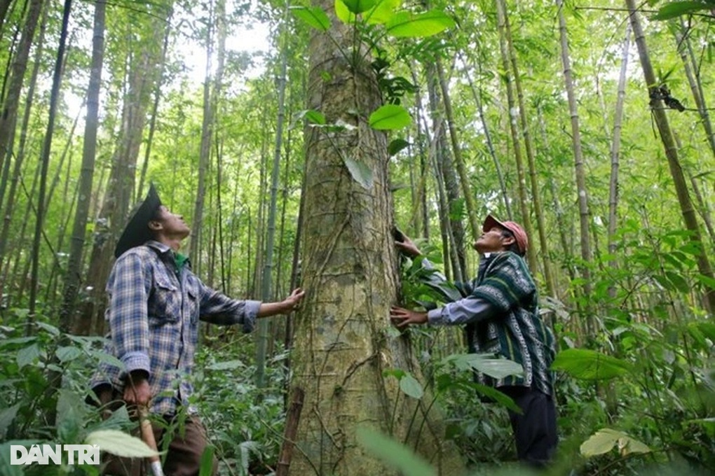 Hàng trăm tỷ đồng bán không khí còn mắc kẹt chưa thể giải ngân - 2 Hàng trăm tỷ đồng bán không khí còn mắc kẹt chưa thể giải ngân - 2