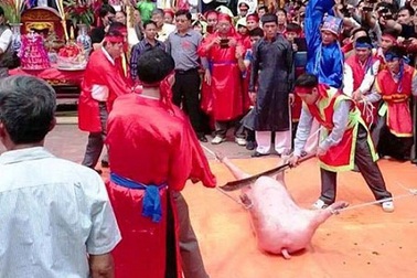 Bạo lực ở lễ hội: Do trót phục dựng... (!)