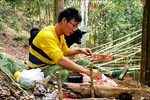 Chàng trai bỏ phố lên rừng: Nướng cá trên đá, luộc trứng trong ống nứa