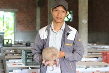 Nuôi loài chuột bự, ăn ít tốn mà thu lãi cao