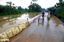 Người dân vùng "rốn lũ" Hà Nội sắp hết cảnh cứ lụt là đắp đê