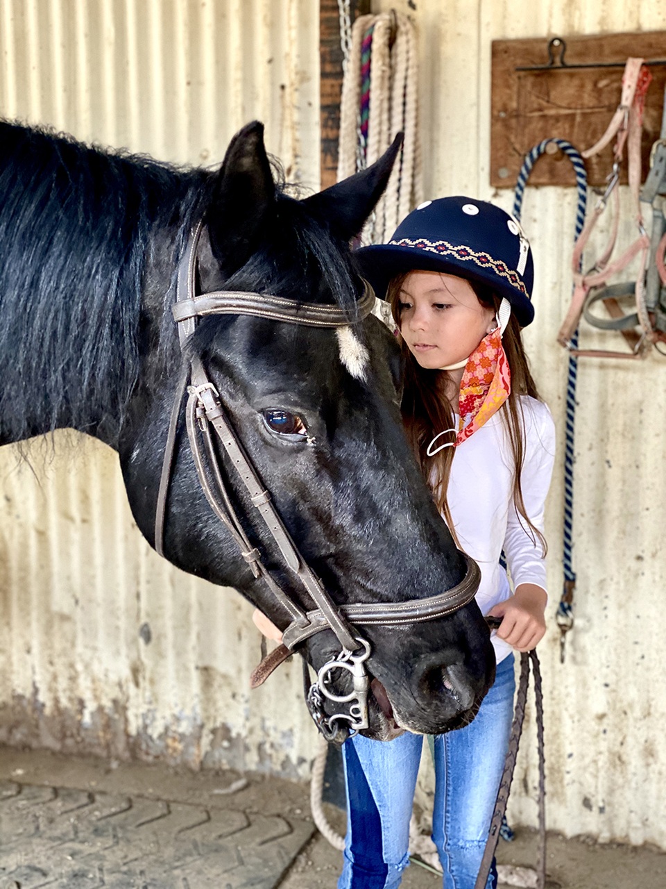 Ca sĩ Hồng Nhung chia sẻ cuộc sống thời gian kẹt tại Mỹ vì dịch Covid-19 - 7