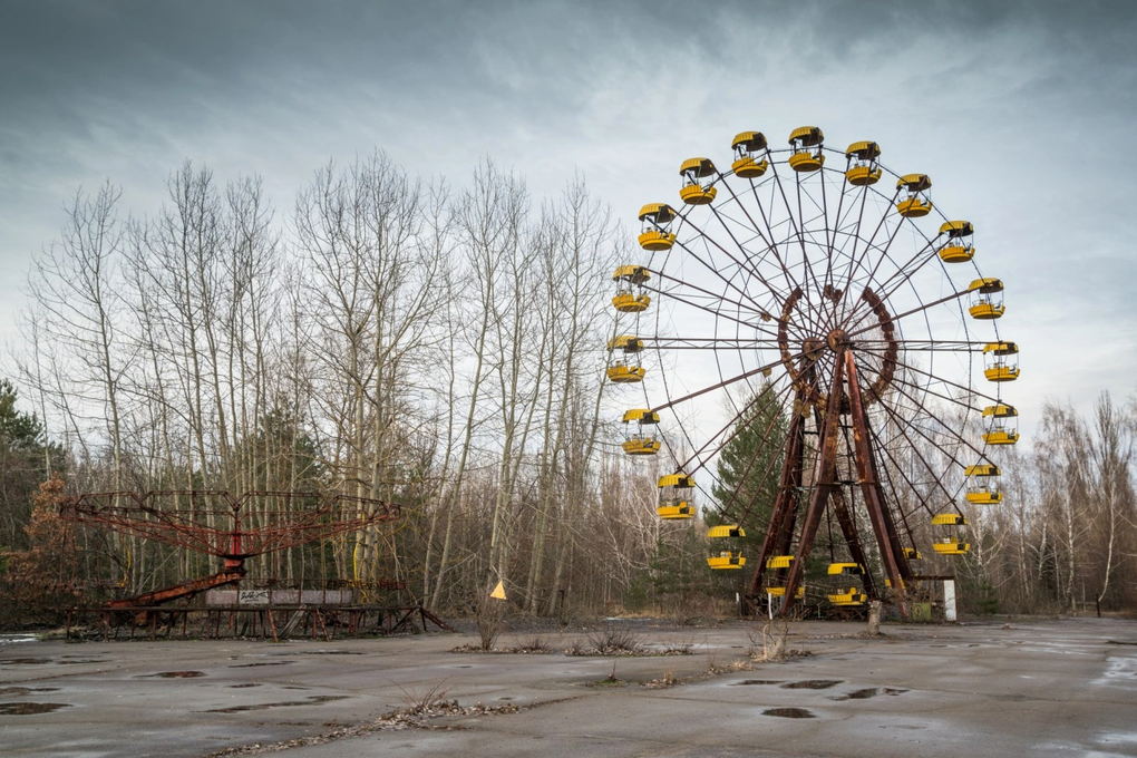 Tìm thấy loài vật miễn nhiễm phóng xạ ở vùng đất chết Chernobyl - 1