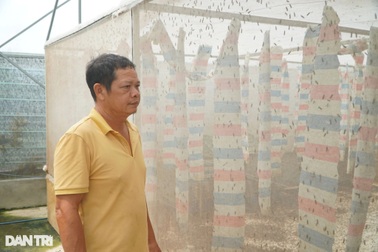 Người đàn ông "đốt" 10 tỷ đồng nuôi loài chết sớm