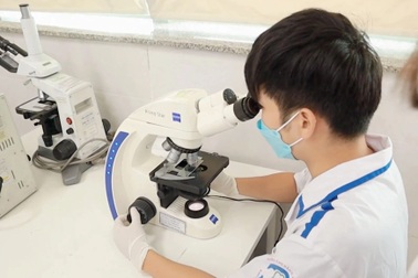 Mỗi năm, Việt Nam ghi nhận hơn 10.000 ca ung máu