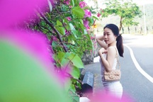 "Phát sốt" với con đường hoa giấy đẹp như tranh vẽ tại Đà Nẵng