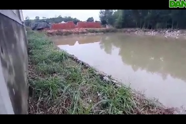 Công trình nước sạch tiền tỷ hoang tàn… trở thành nơi trú nhốt trâu bò.