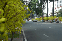 TPHCM yên bình chiều cuối năm