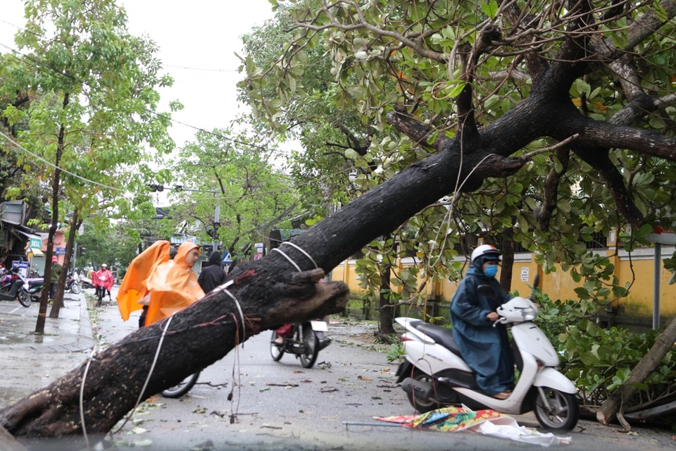 Tàu chìm, nhà sập, trường học tốc mái, cây xanh ngã đổ trong bão số 13 - 14 Tàu chìm, nhà sập, trường học tốc mái, cây xanh ngã đổ trong bão số 13 - 14