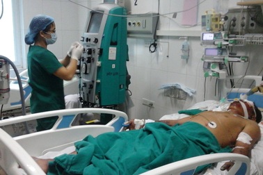 Mổ thịt lợn ốm, người nuôi nhiễm liên cầu nguy kịch