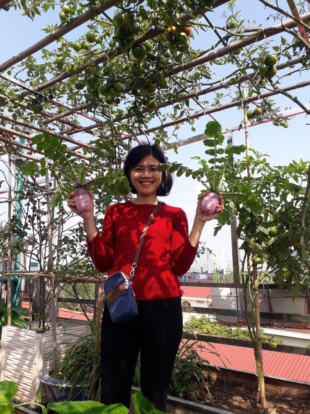 Vườn rau trái sai trĩu quả như siêu thị nông sản của mẹ đảm Hà thành - 13