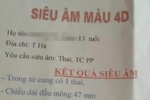 Thầy giáo bị tố làm nữ sinh lớp 8 mang thai từng là giáo viên giỏi cấp huyện