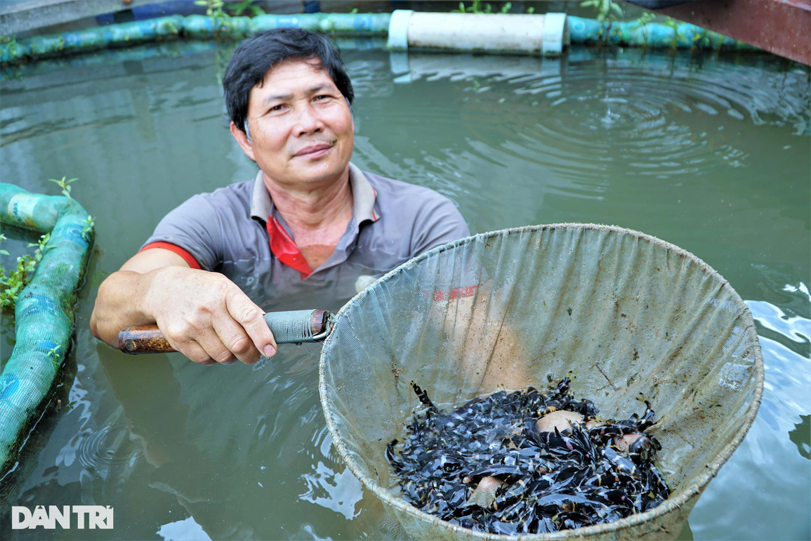 Tỷ phú cá bè kể chuyện mổ bụng cá ép đẻ để duy trì loài sắp tuyệt chủng - 1 Tỷ phú cá bè kể chuyện mổ bụng cá ép đẻ để duy trì loài sắp tuyệt chủng - 1