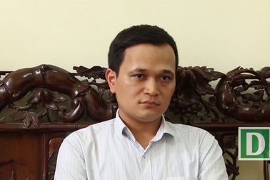 Hà Nội: Chủ tịch xã Cẩm Yên nói gì về việc hàng loạt cây xanh bị chặt bỏ?