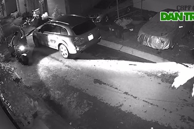 Video táo tợn lái xe ba gác đi trộm mai trong khu dân cư ở TPHCM