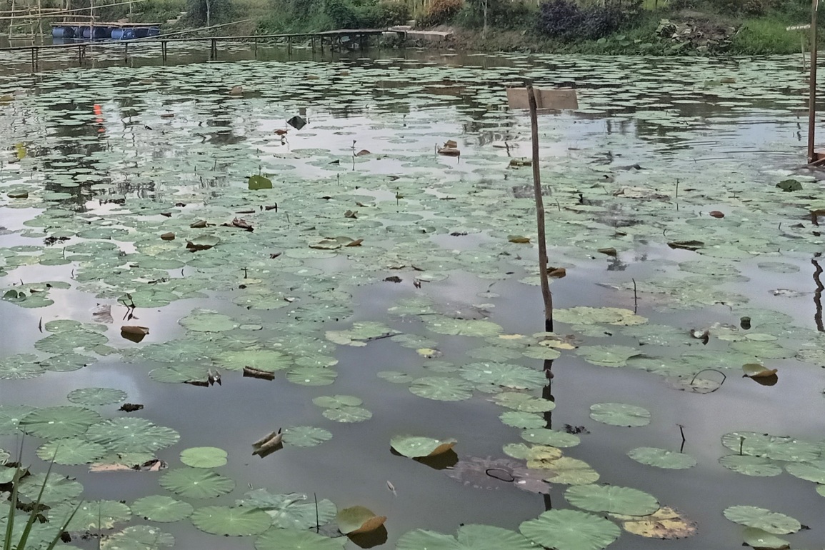 Điều tra vụ nam sinh lớp 9 nghi bị đuối nước tại điểm du lịch - 1 Điều tra vụ nam sinh lớp 9 nghi bị đuối nước tại điểm du lịch - 1