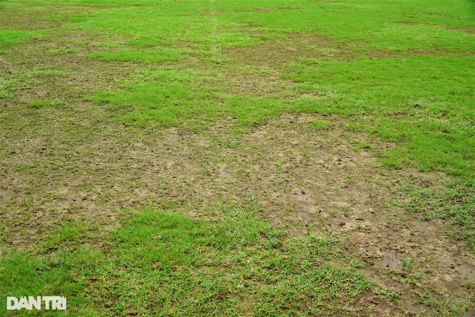 Hiện trạng mặt cỏ sân Hà Tĩnh sau lời chê bai của HLV Polking - 5 Hiện trạng mặt cỏ sân Hà Tĩnh sau lời chê bai của HLV Polking - 5