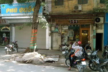 Hà Nội: Đào hố “bức tử” cây xanh