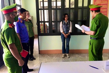 Bắt tạm giam một phụ nữ thuê người phá rừng để trồng keo, bạch đàn