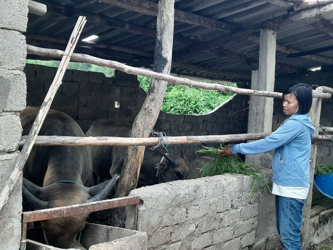 Chuyện “bao đồng” của người phụ nữ đơn thân vượt qua nghịch cảnh, dành thời gian xin gạo giúp người nghèo - Ảnh 4.