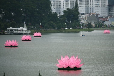 Mãn nhãn với 7 đài sen khổng lồ trên hồ Xuân Hương