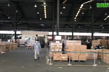 Video: Cao dược liệu xuất khẩu sang Mỹ