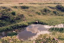 Bất an trước đường ống xả nước thải đen ngòm của Formosa