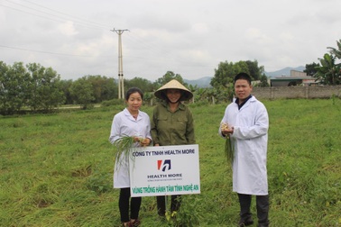 Viên Nano xuyên tâm liên hành đen - thực phẩm công nghệ bảo vệ hệ hô hấp