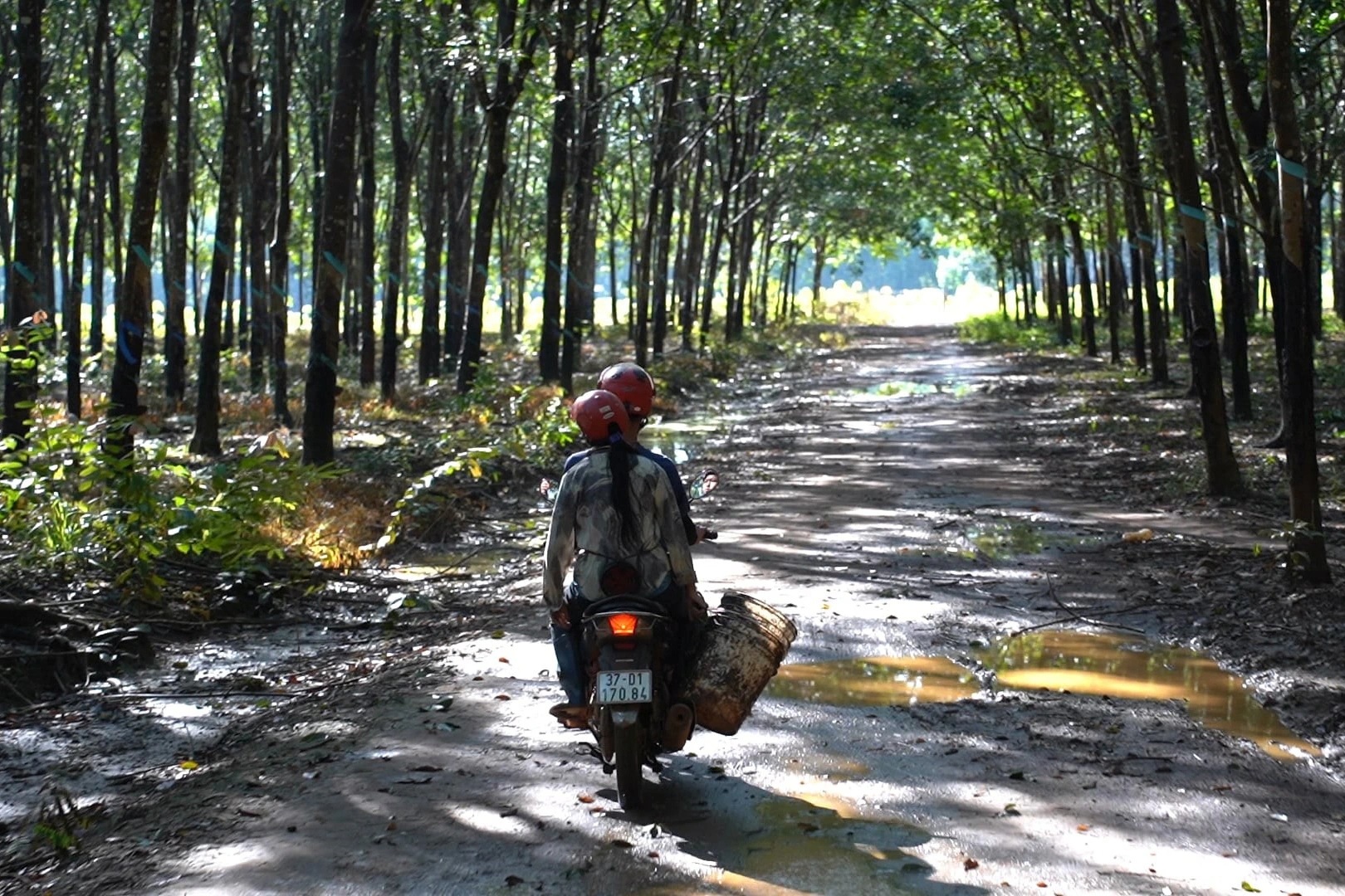 Đi làm xa thì nhớ con, về quê lại thất nghiệp! - 5 Đi làm xa thì nhớ con, về quê lại thất nghiệp! - 5