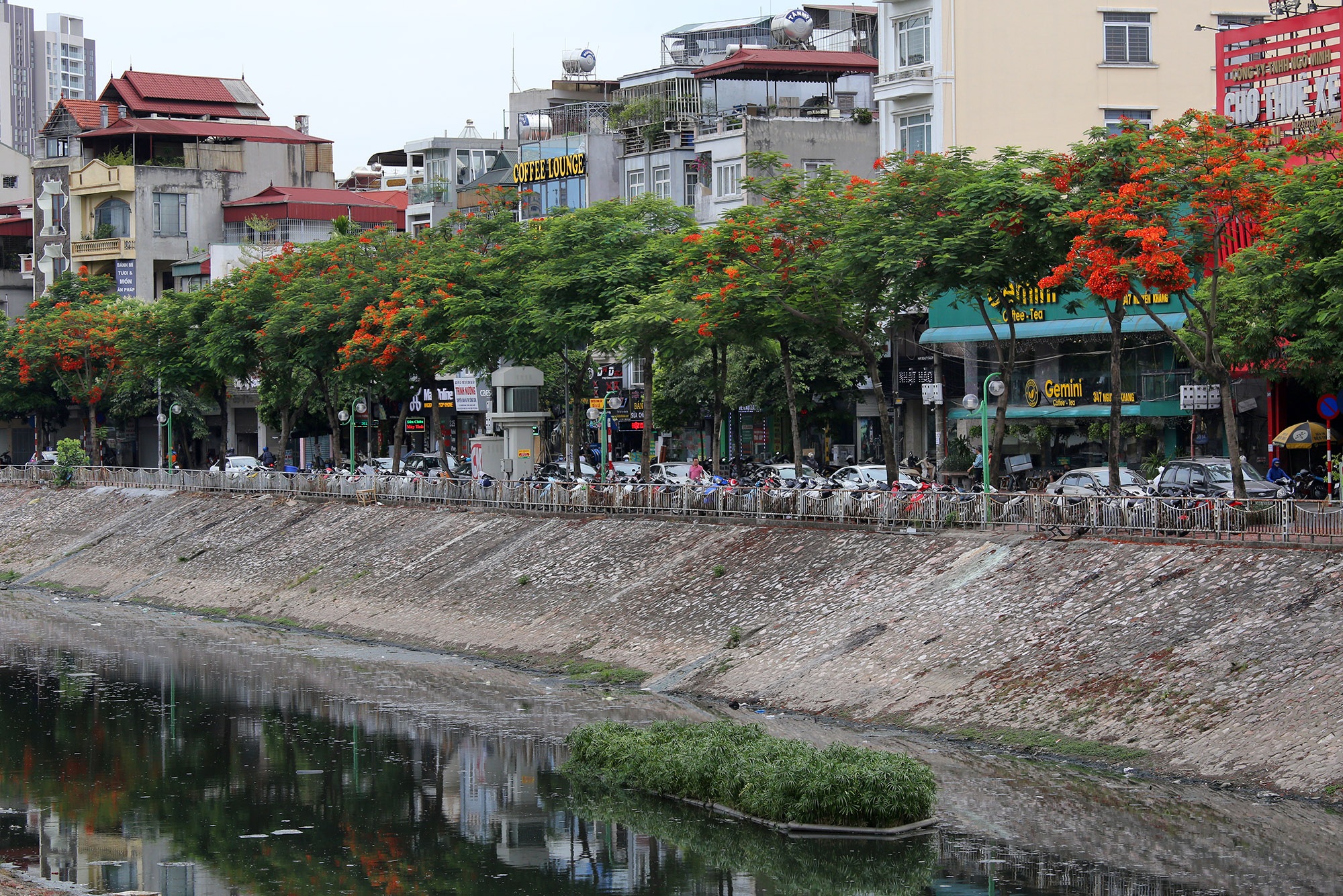 Hà Nội đẹp rực rỡ với dải phượng vĩ dài 8km - 5 Hà Nội đẹp rực rỡ với dải phượng vĩ dài 8km - 5