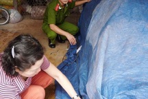 Phát hiện “đầu nguồn” cung ớt bột chứa chất ung thư