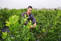 Hơn 100 nghìn hộ nghèo được đào tạo nghề, giải quyết việc làm