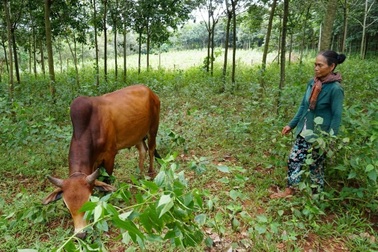 Đồng Nai lan tỏa tinh thần tự lực thoát nghèo