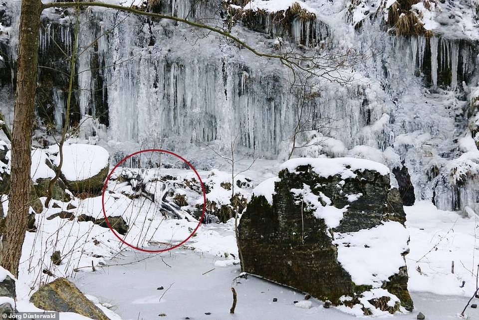 Bạn có nhìn thấy người mẫu khỏa thân trong ảnh này? - 21 Bạn có nhìn thấy người mẫu khỏa thân trong ảnh này? - 21