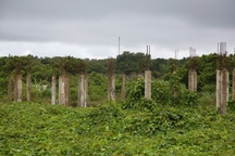 Khu đô thị sinh thái biển gần 500 tỷ đồng trên "đất vàng" ì ạch triển khai