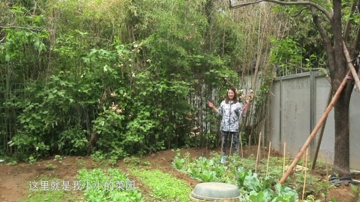 Свободная и легкая жизнь Чау Хай Ми до ее смерти - 6 Cuộc đời tự do tự tại của Châu Hải My trước khi mất - 6