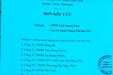 Vụ doanh nghiệp bị chặn đường vận chuyển gỗ: Chờ tham mưu để xử lý