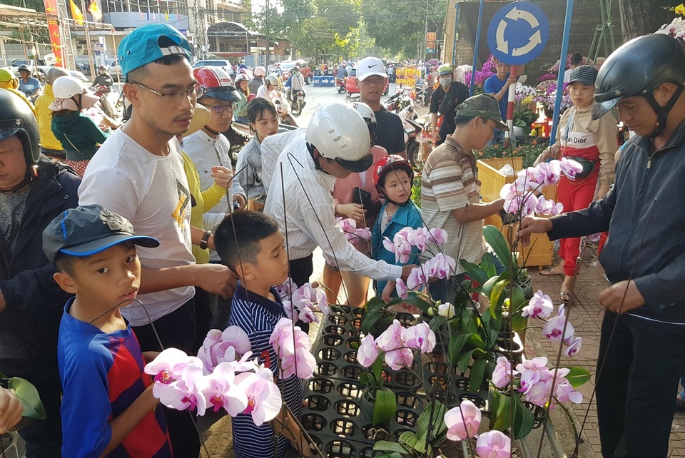 Thương lái mệt mỏi xả hàng, giá hoa tết nhiều nơi giảm 50-70% - 5 Thương lái mệt mỏi xả hàng, giá hoa tết nhiều nơi giảm 50-70% - 5