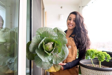 Vườn hữu cơ tràn ngập rau trái ở ban công của nữ thạc sĩ 9X