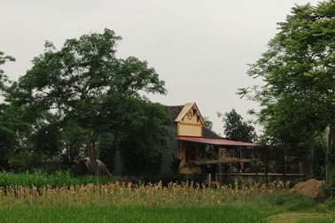 Thanh Hóa: Cán bộ xã xây nhà trái phép trên đất giao thầu