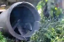 Xưởng sản xuất tan tành sau vụ nổ lò hơi, một lao động tử vong