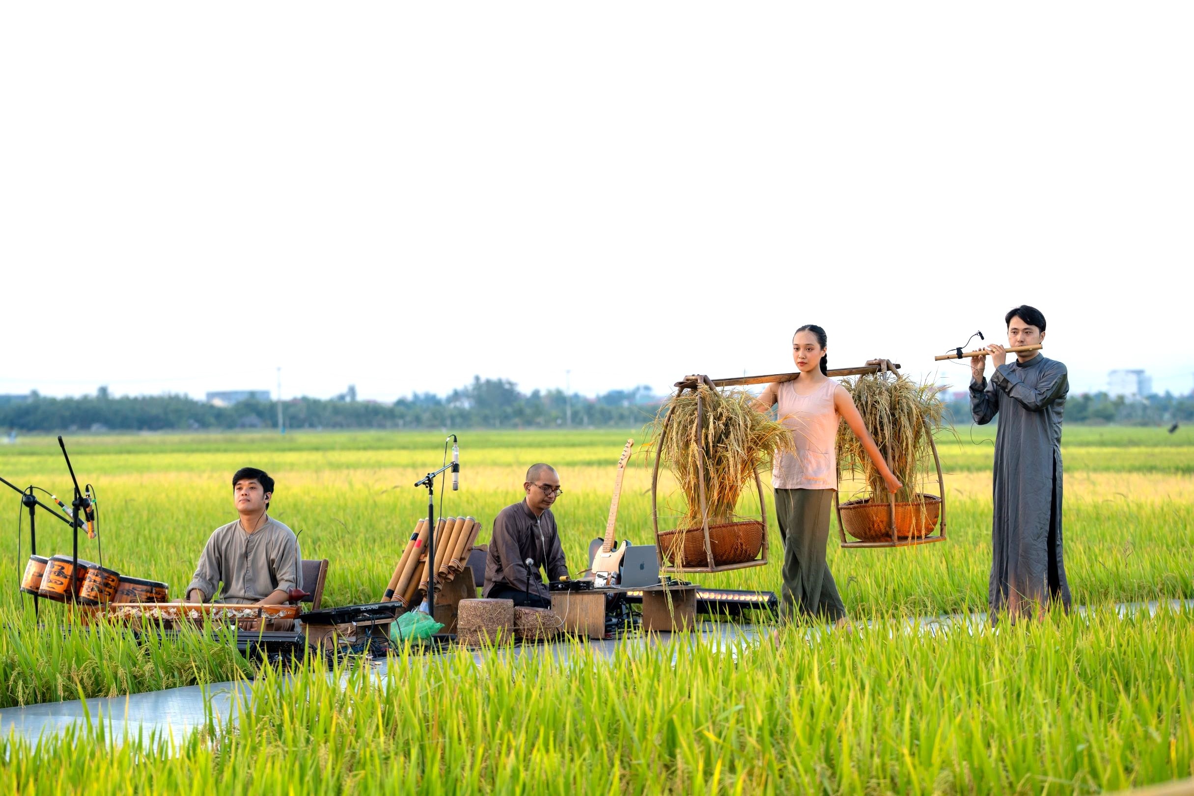 View - Múa đương đại giữa cánh đồng lúa chín vàng Hội An | Báo Dân trí