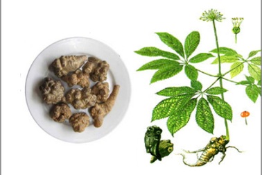 Những thảo dược “trị” lưu thông máu kém cực hiệu quả