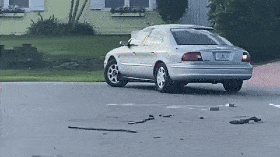 Chú chó cướp lái của chủ, lái xe đi lùi vòng tròn suốt cả tiếng - 1 Chú chó cướp lái của chủ, lái xe đi lùi vòng tròn suốt cả tiếng - 1