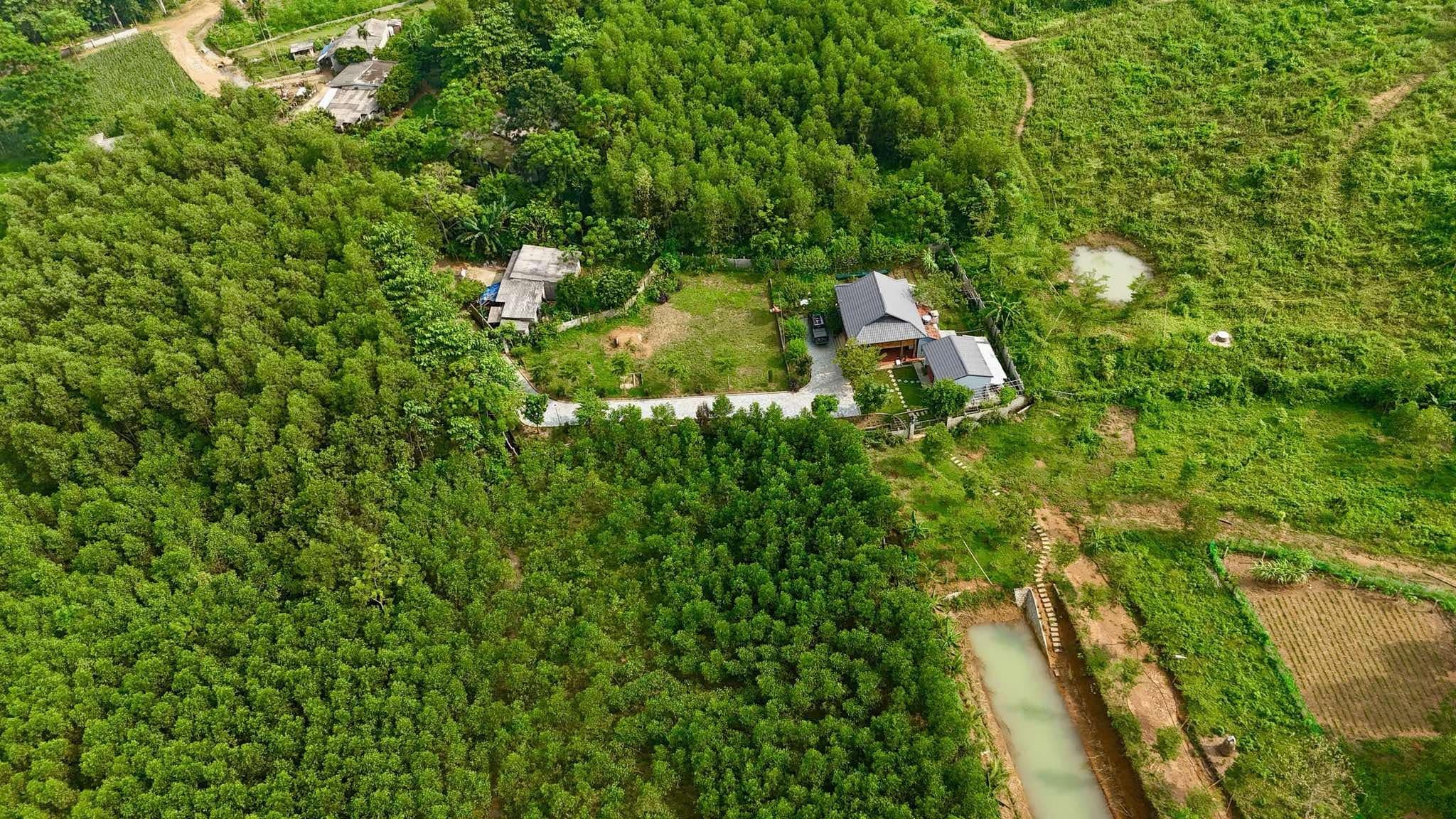 "Sợ" rau bẩn bụi mịn, vợ chồng ở Hà Nội mua 1.500m2 đất quê để nghỉ dưỡng