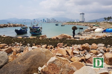 Chủ đầu tư dự án 33 triệu USD lấp Vịnh Nha Trang khiếu nại lần 2