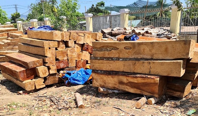 Gia Lai: Điều tra vụ khai thác lâm sản trái phép - Ảnh 1. Gia Lai: Điều tra vụ khai thác lâm sản trái phép - Ảnh 1.