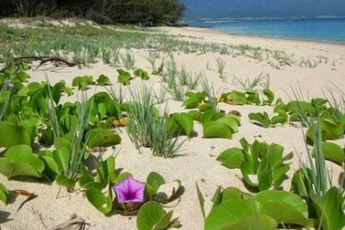 Khám phá “Vịnh Hạ Long” giữa đất trời Sơn La