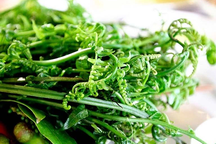 Trồng vườn rau rừng giữa phố, ai ngờ bán đắt như tôm tươi